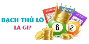 Giải Đáp Bạch Thủ Lô Là Gì Và Các Thông Tin Xoay Quanh