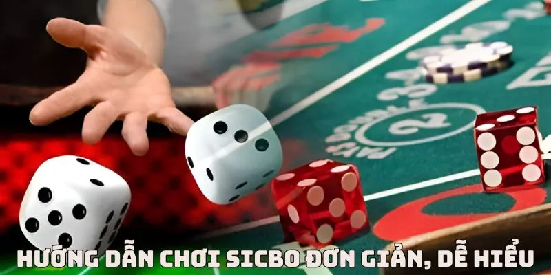 Cách chơi Sicbo đơn giản và dễ hiểu dành cho người mới bắt đầu